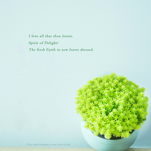 老熟女垂乳熟年交尾
